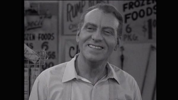The Many Loves Of Dobie Gillis - Beethoven, Presley And Me