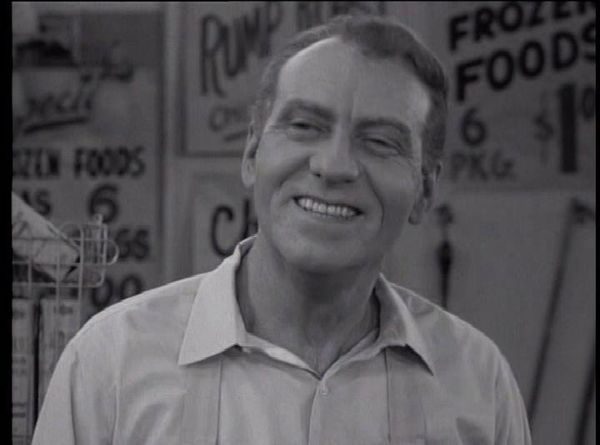 The Many Loves Of Dobie Gillis - Beethoven, Presley And Me
