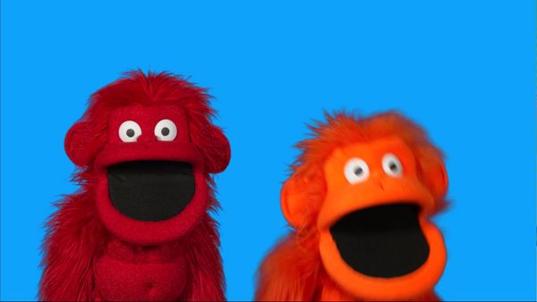 The Ring-a-Tangs - The Funky Monkey Band