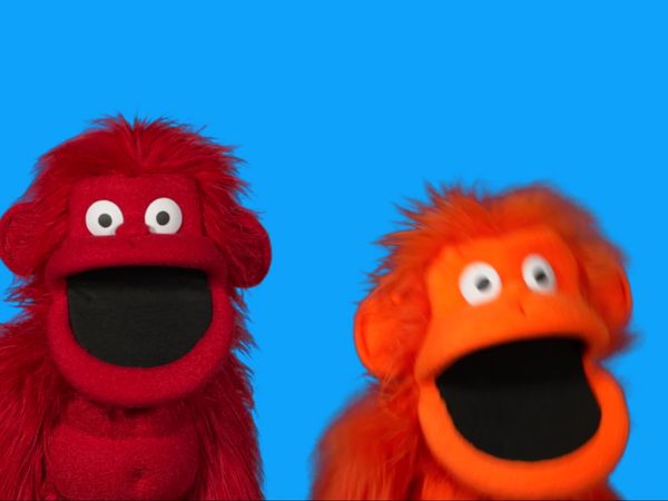 The Ring-a-Tangs - The Funky Monkey Band