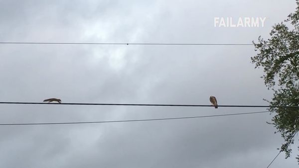 Best Fails of the Month - Best Fails of the Month | Ep. 3.1
