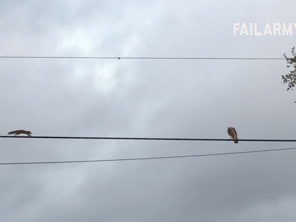 Best Fails of the Month - Best Fails of the Month | Ep. 3.1