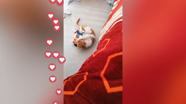 Pet Play - Episodio 3