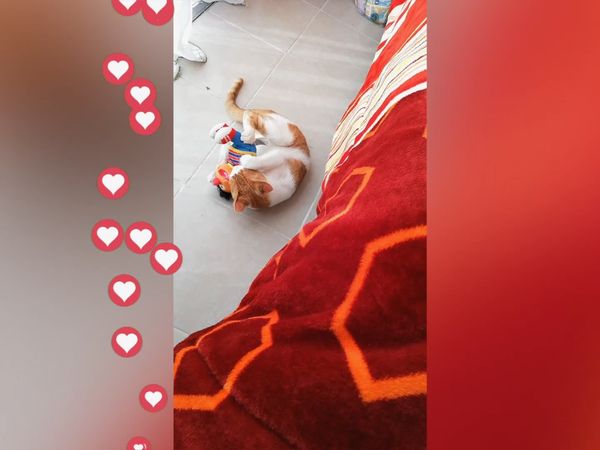 Pet Play - Episodio 3