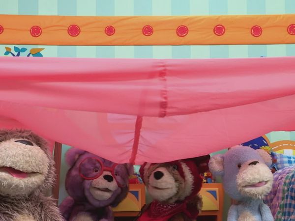 Ositos - Los Teddies hacen una guarida