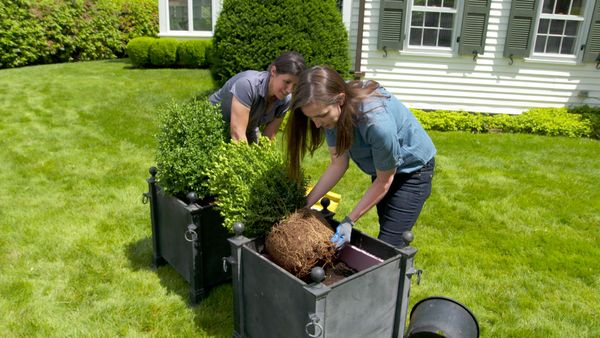 Ask This Old House - Ask TOH | Ductless Humidifier, Planters