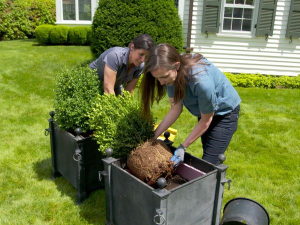 Ask This Old House - Ask TOH | Ductless Humidifier, Planters