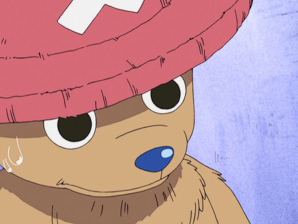 One Piece - The forbidden sacred ground! The island where god lives and heaven's judgement!