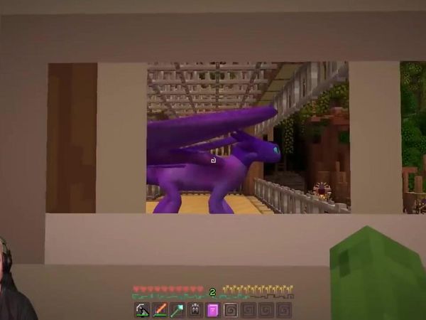 Tiny Turtle Minecraft Dragons - We Found Our Galaxy Dragon Ekon!