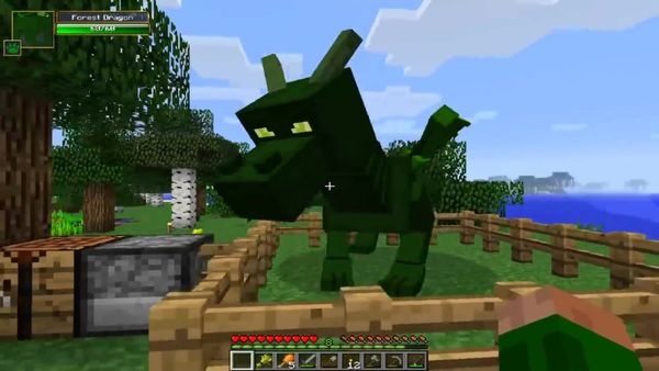How to Discipline Your Dragon - Our Dragons Grow Up
