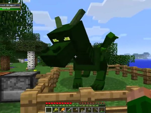 How to Discipline Your Dragon - Our Dragons Grow Up