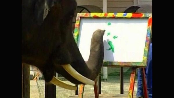 Zoo Babies - Pip McGarry Paints