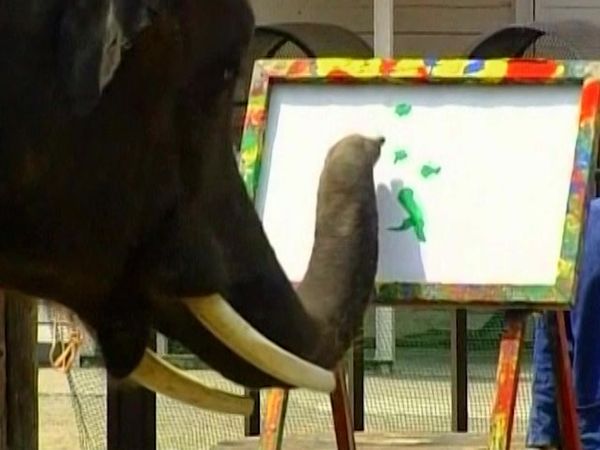 Zoo Babies - Pip McGarry Paints