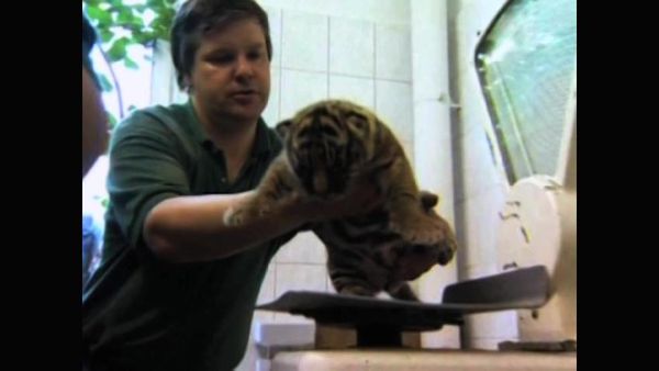 Zoo Babies - German Zoo