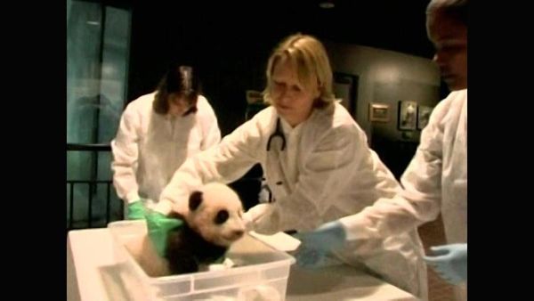 Zoo Babies - Toronga Zoo - Sydney