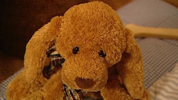 Animal Attractions - Pet Vacations