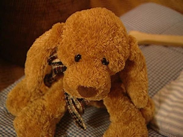 Animal Attractions - Pet Vacations