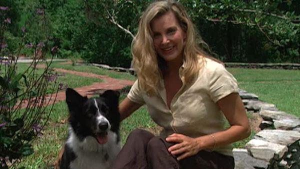 Animal Attractions - Eco-Friendly Pets