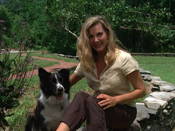 Animal Attractions - Eco-Friendly Pets