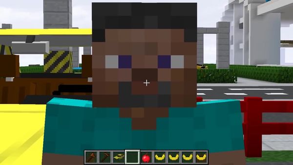 Max the Monkey: Minecraft Video Series - Max is in a Car Crash