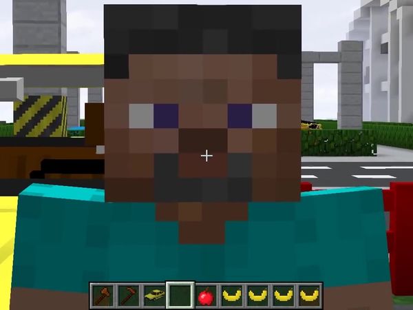 Max the Monkey: Minecraft Video Series - Max is in a Car Crash
