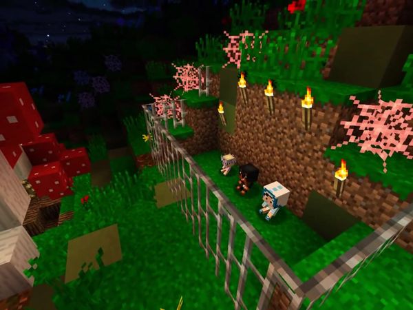 Little Carly Plays Minecraft - The Evil Fairy Kidnaps My Baby Brother!