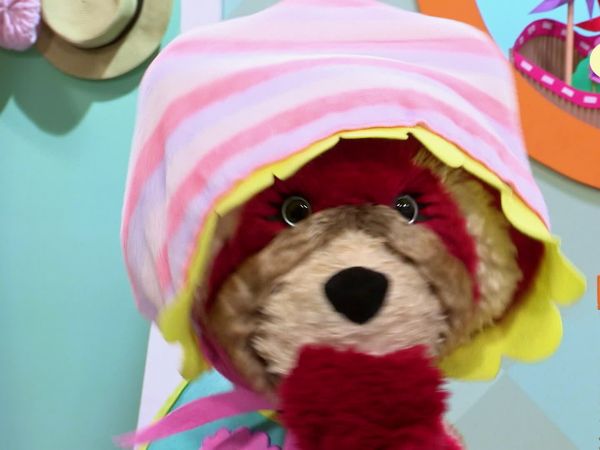 Teddies - Passinhos de Bebê