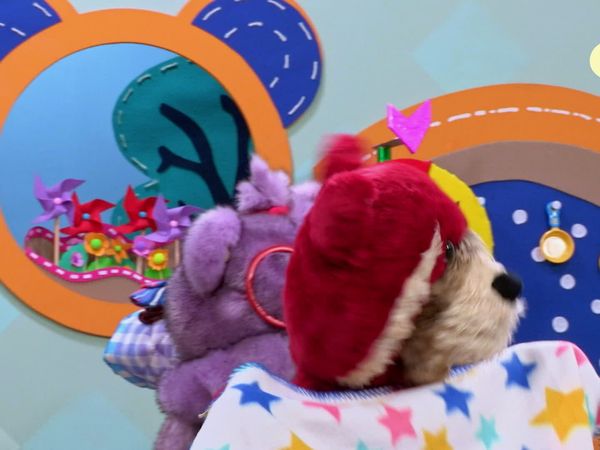 Teddies - Amigos Na Tempestade