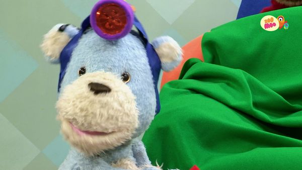 Teddies - O Acampamento