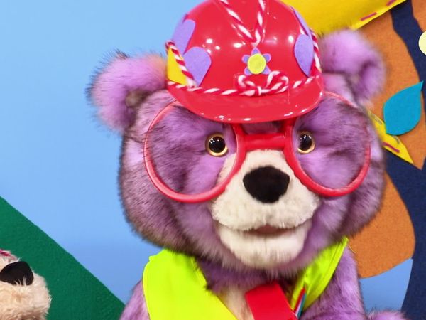 Teddies - Regras de Segurança