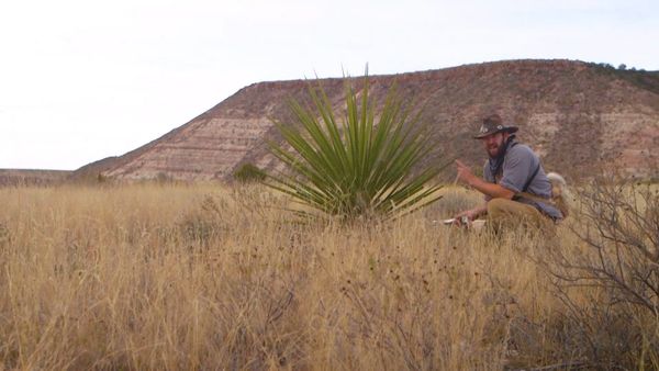Sasquatch Mountain Man - Texas Muledeer Part 1