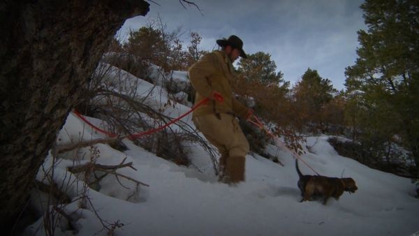 Sasquatch Mountain Man - Mountain Lion A