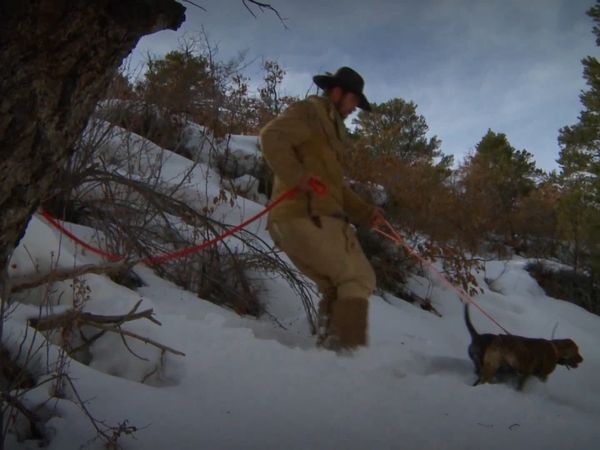 Sasquatch Mountain Man - Mountain Lion A