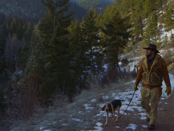 Sasquatch Mountain Man - Mountain Lion