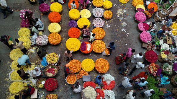Siempre hay un Chileno - Bangalore, India