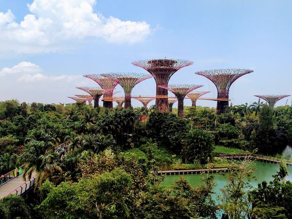 Siempre hay un Chileno - Singapur