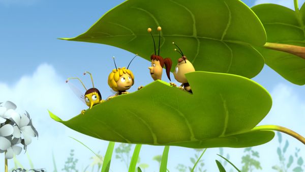 La Abeja Maya - Syrphie la Espía