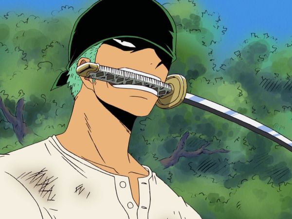 One Piece - Zoro bares his fangs! A savage animal stands in the way!