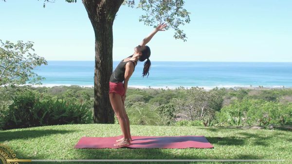 Yoga com Cris - Chakra sahasrara