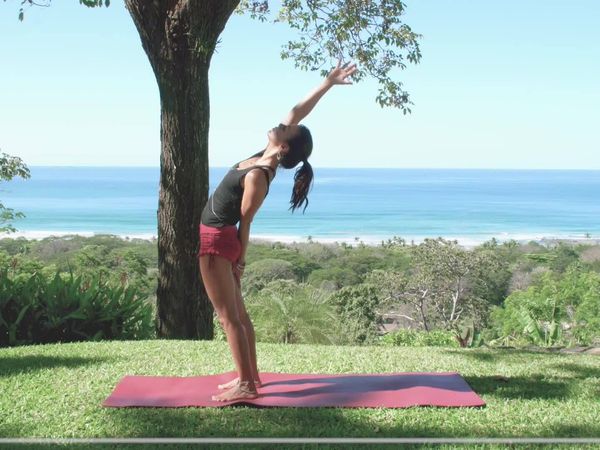 Yoga com Cris - Chakra sahasrara