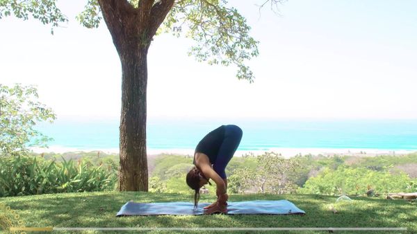 Yoga com Cris - Enraizando
