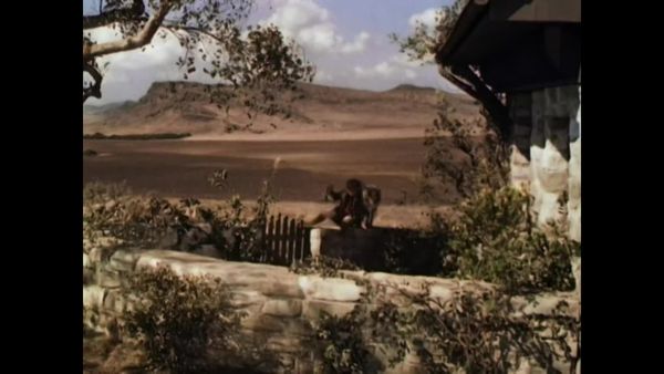 Lassie - Lassie, a Força do Coração