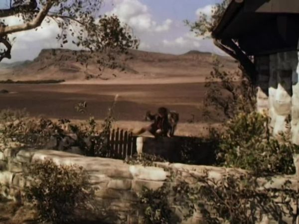 Lassie - Lassie, a Força do Coração