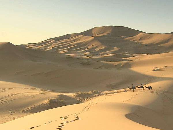 Planeta Asombroso - Desiertos