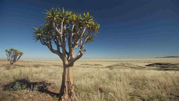 Horizons - Namibie