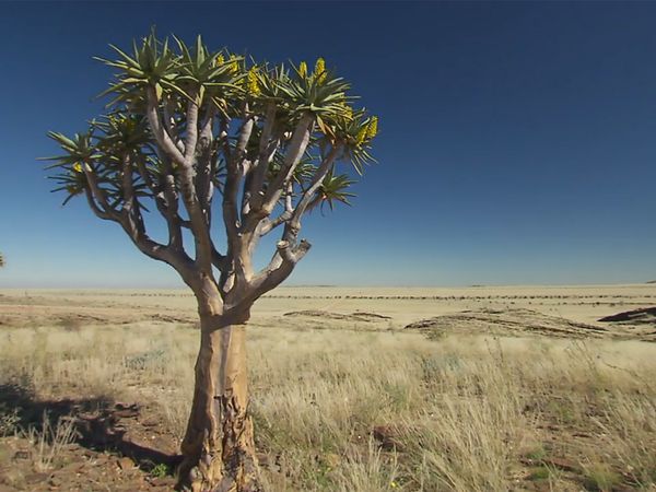 Horizons - Namibie