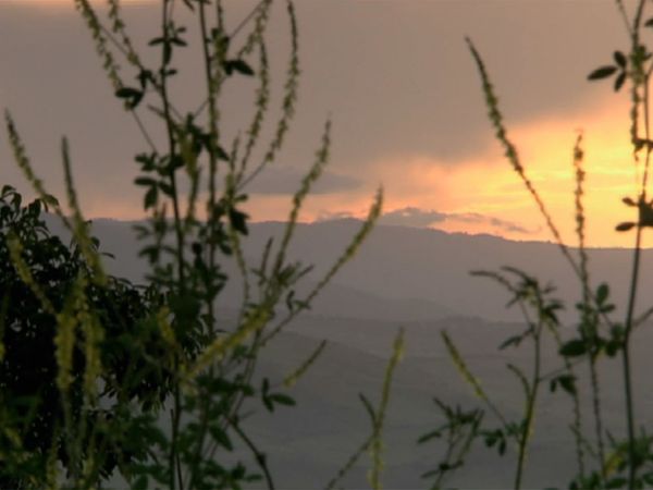 Horizons - Arménie