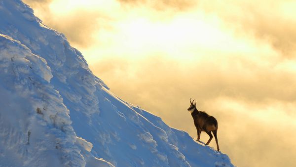 The Tatra Mountains - Life on the Edge