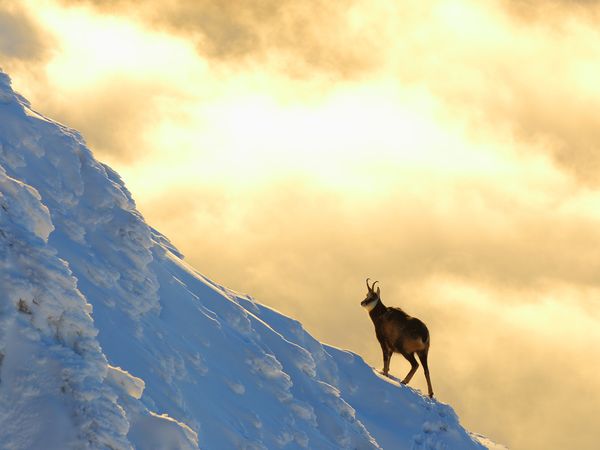 The Tatra Mountains - Life on the Edge
