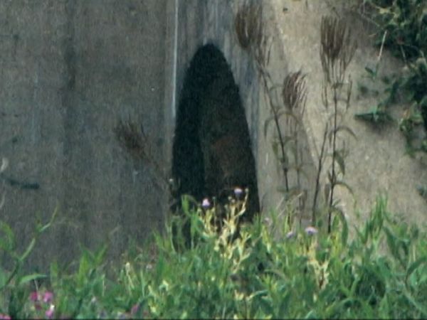 Crime 360 - Sangue nas Pistas